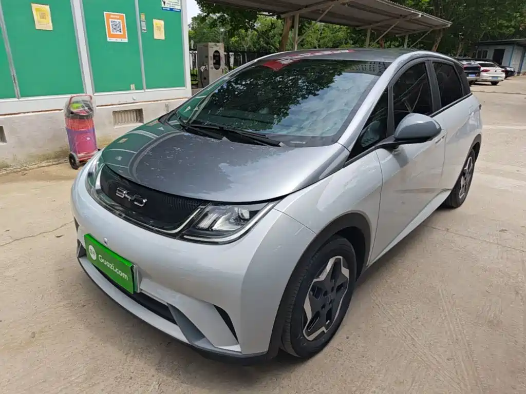 BYD Dolphin 2021 405km Freedom