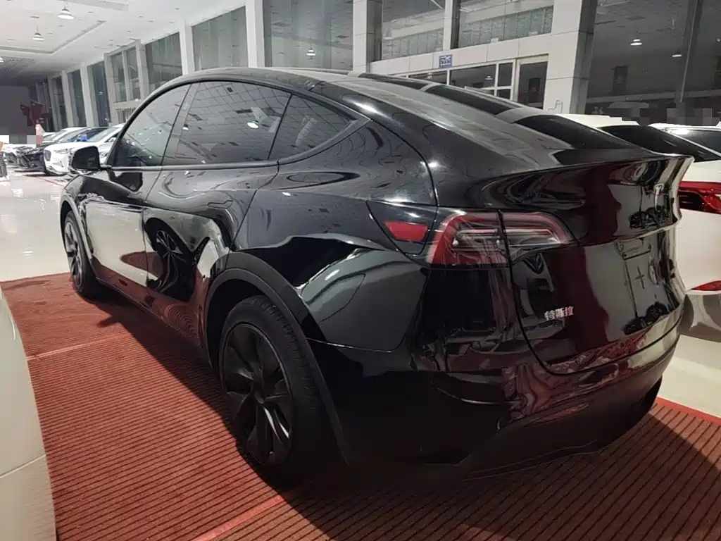 Tesla Model Y — миниатюра 5