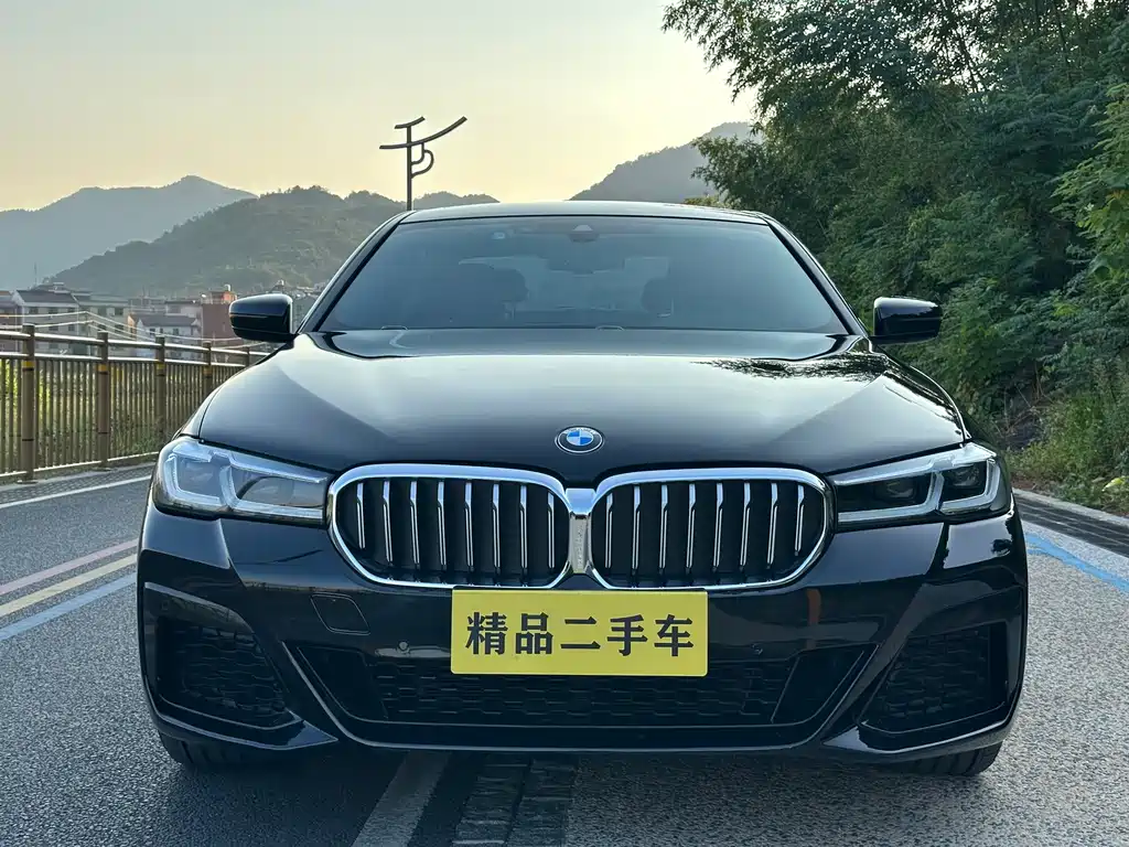 BMW 5 Series — миниатюра 2