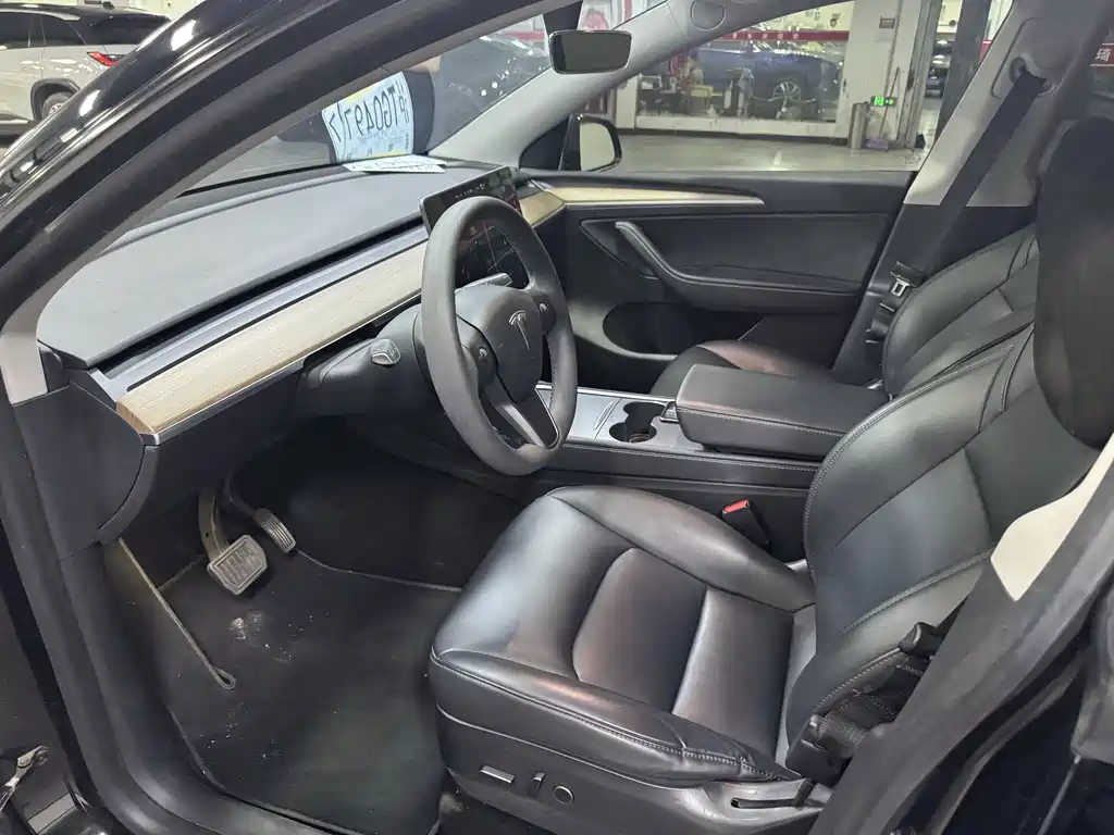 Tesla Model Y — миниатюра 6