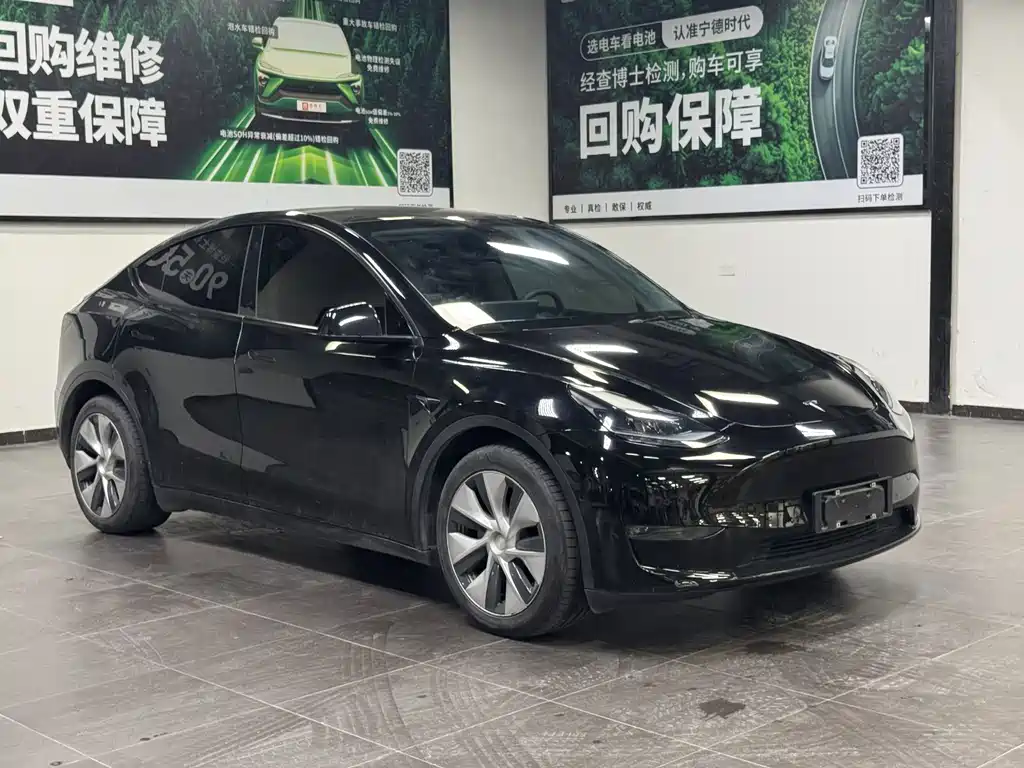 Tesla Model Y — миниатюра 3