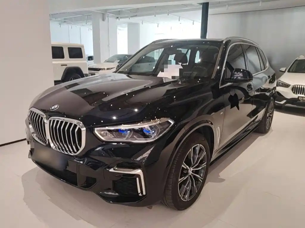 BMW X5 — миниатюра 2