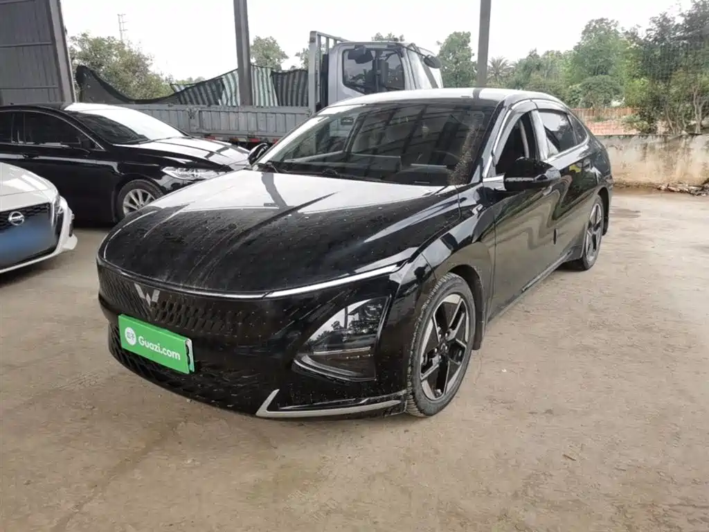 Wuling Xingguang 2024