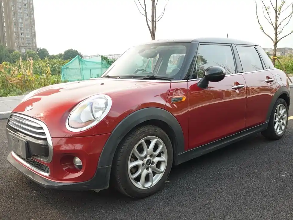 Mini Mini 2015