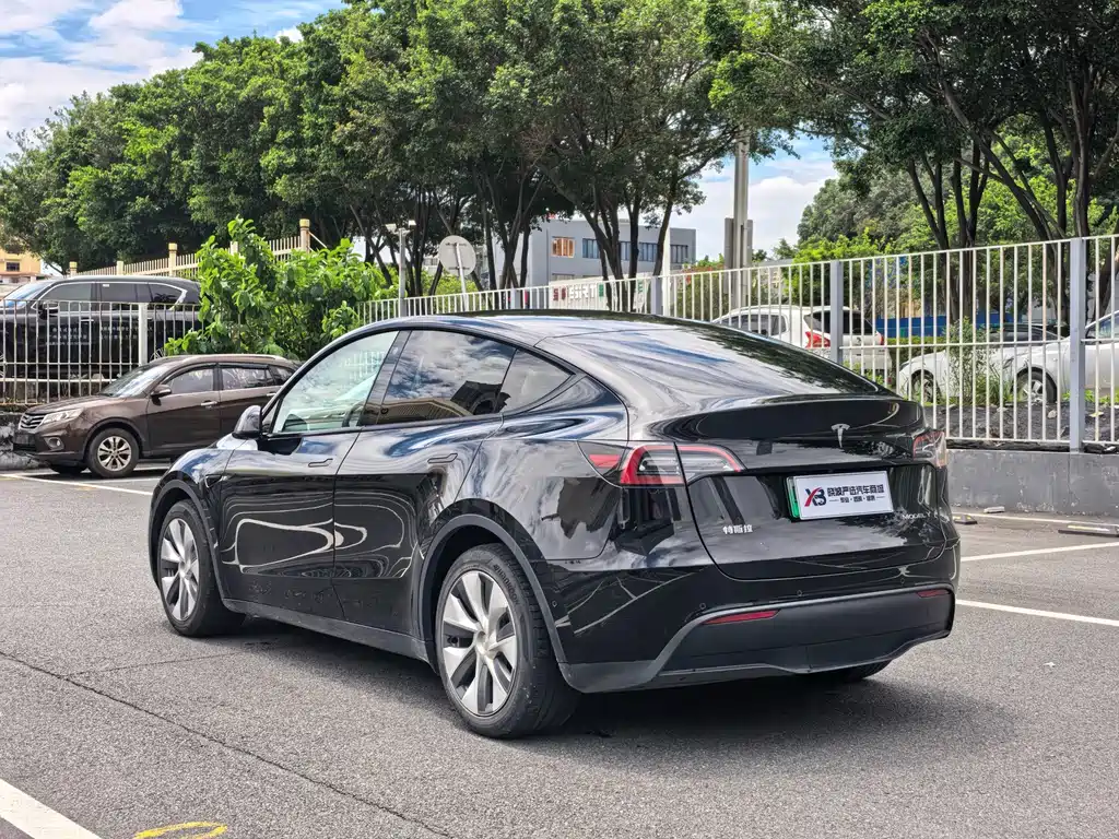 Tesla Model Y — миниатюра 7