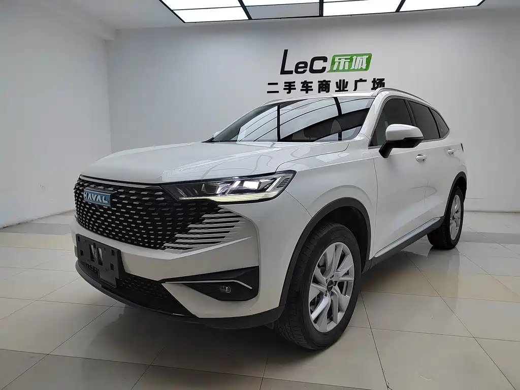 Haval H6 New Energy 2024