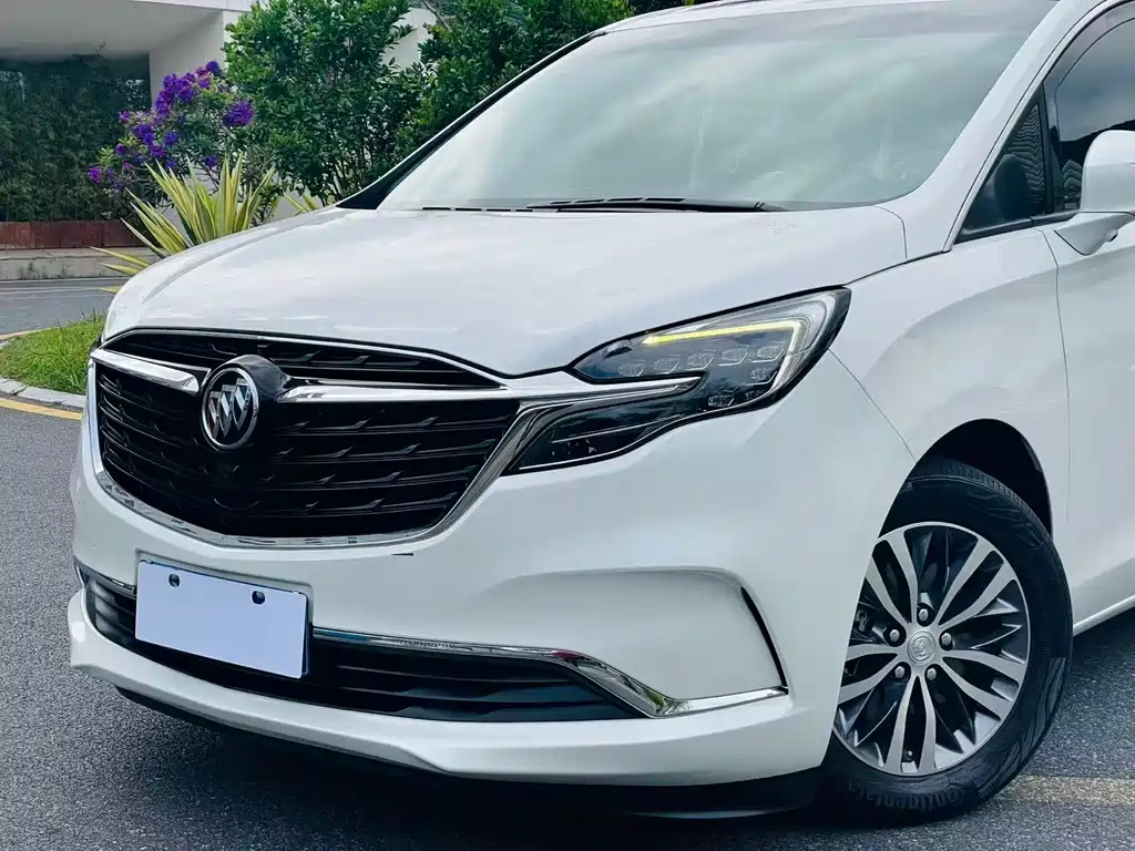 Buick GL8 — миниатюра 25