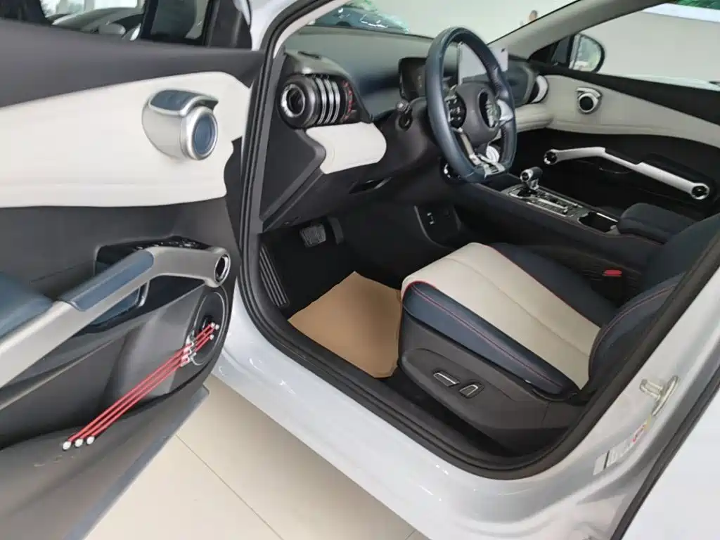 BYD Yuan Plus — миниатюра 16