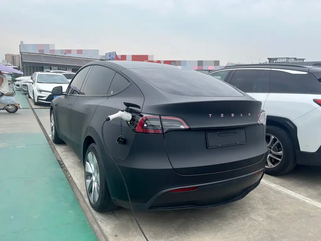 Tesla Model Y — миниатюра 7