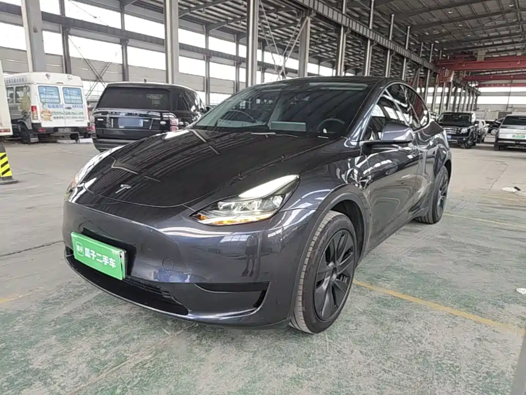 Tesla Model Y — миниатюра 2