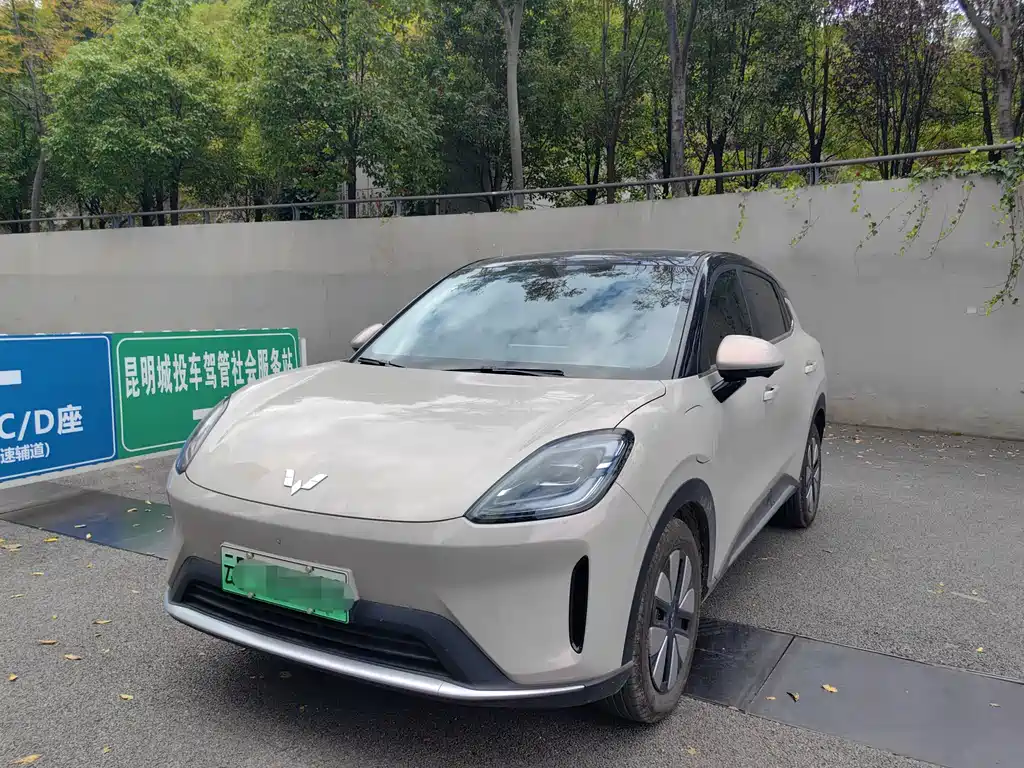 Wuling Bingo S