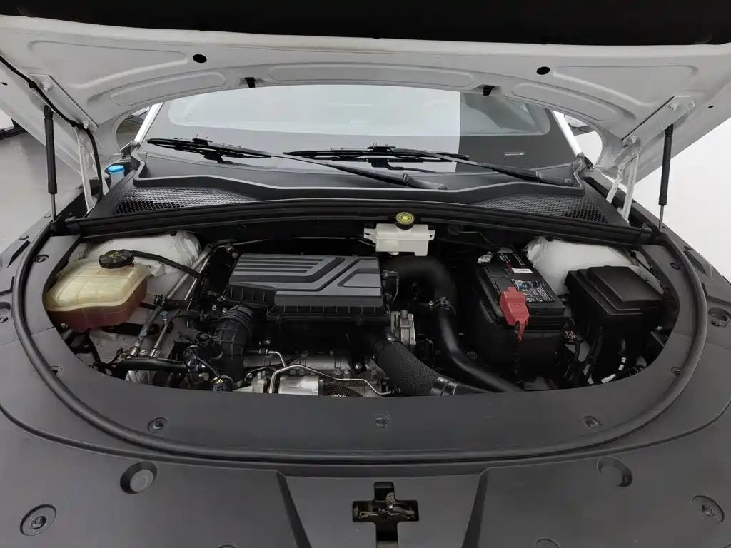 BYD PLUS — миниатюра 6