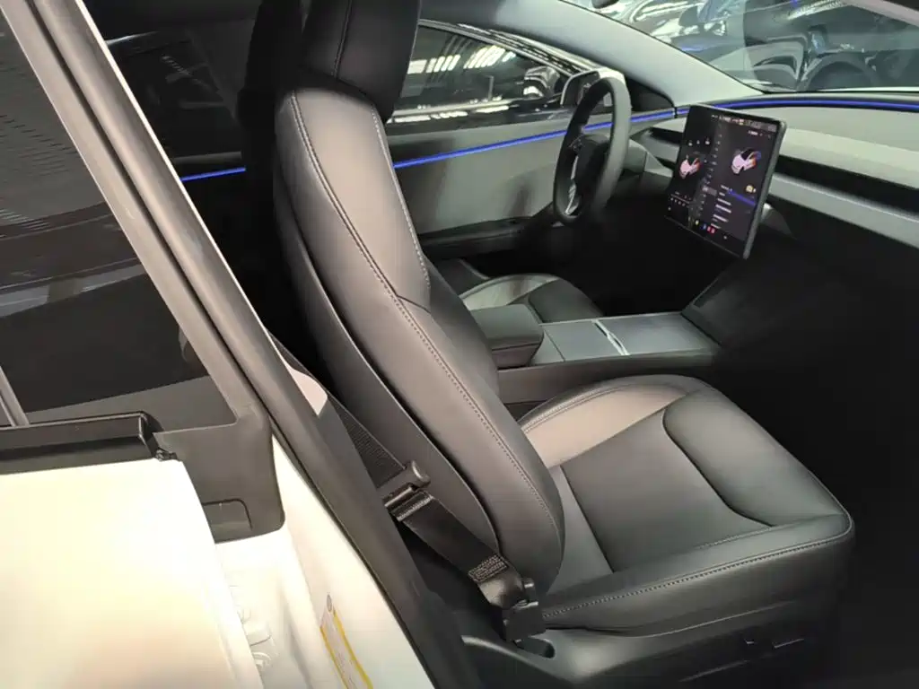 Tesla Model 3 — миниатюра 25