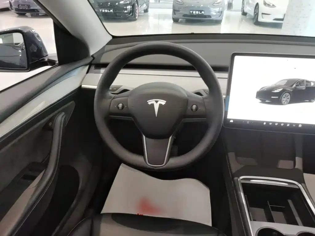 Tesla Model Y — миниатюра 11