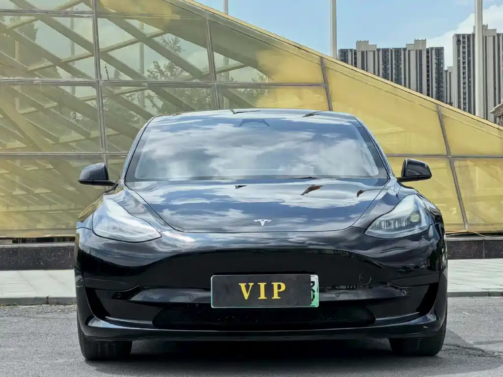 Tesla Model 3 — миниатюра 2