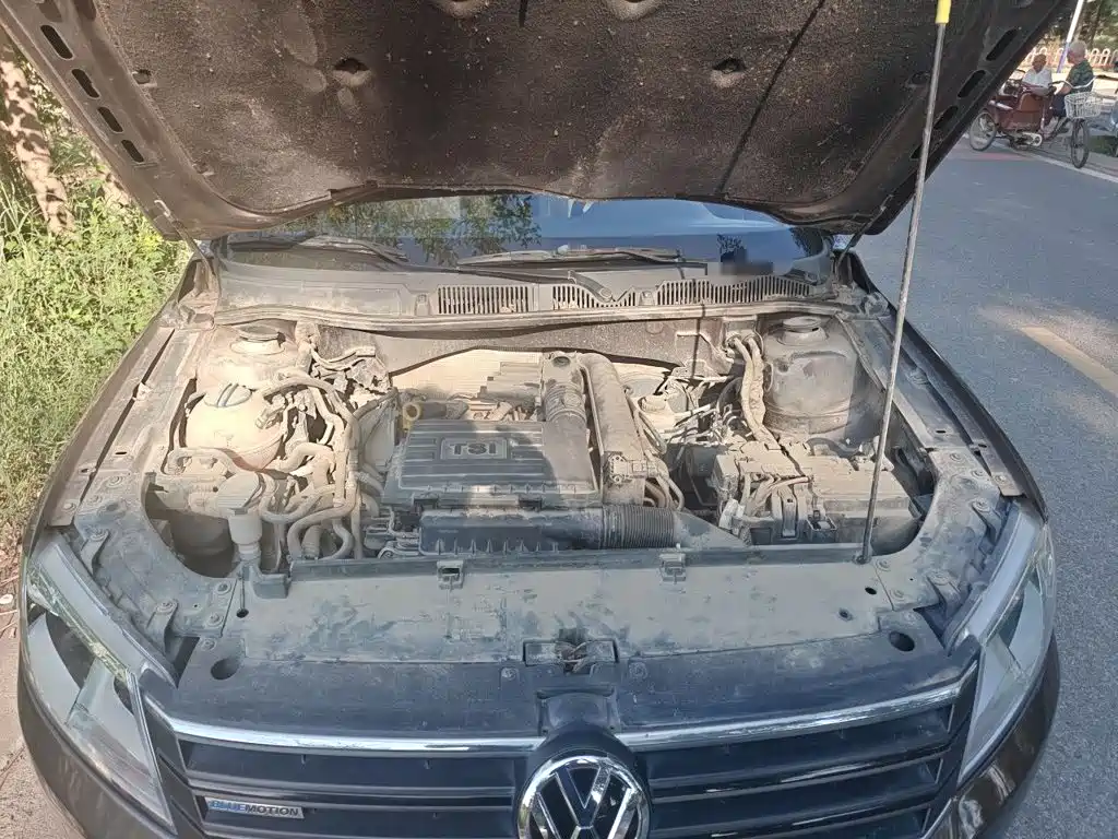 Volkswagen Gran Lavida — миниатюра 21