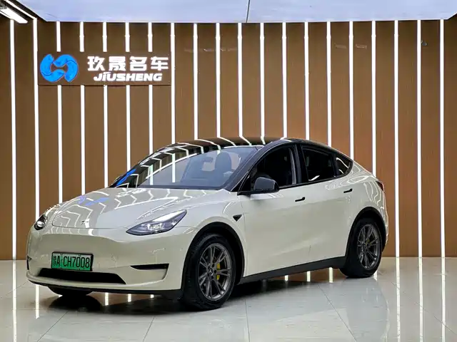 TESLA MODEL Y 2021