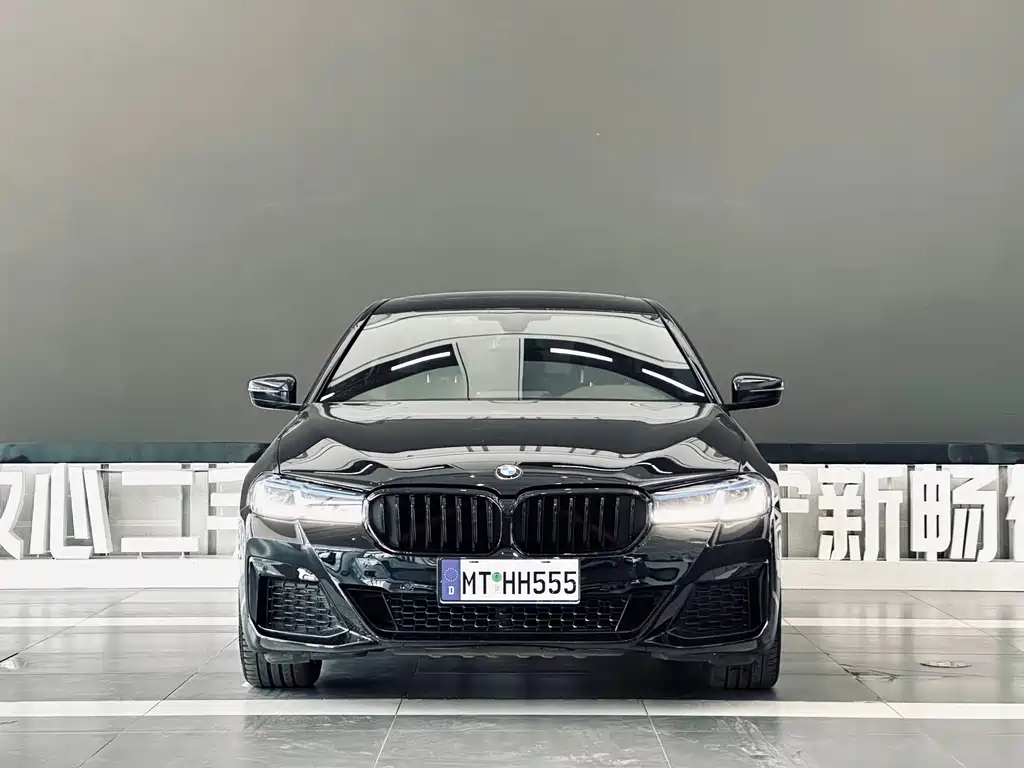 BMW 5 Series — миниатюра 2