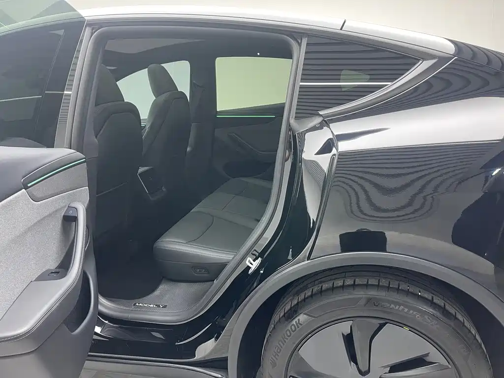 Tesla Model Y — миниатюра 17