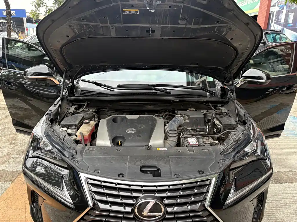 Lexus NX — миниатюра 18