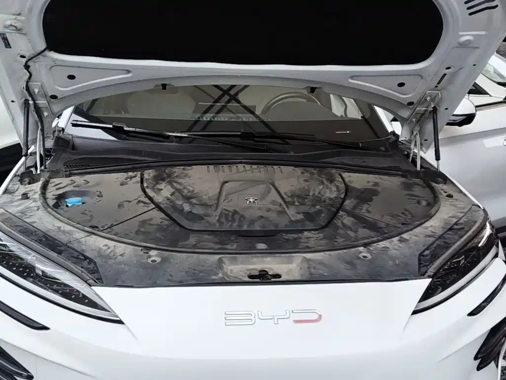 BYD PLUS New Energy — миниатюра 20