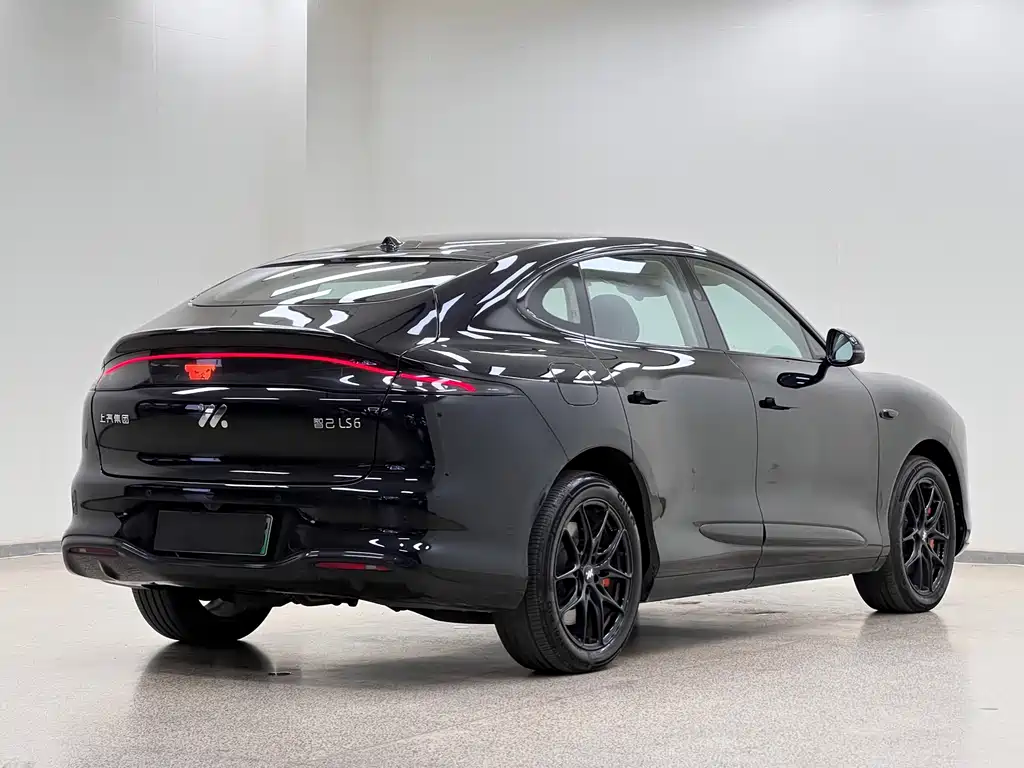 IM IM LS6 — миниатюра 7