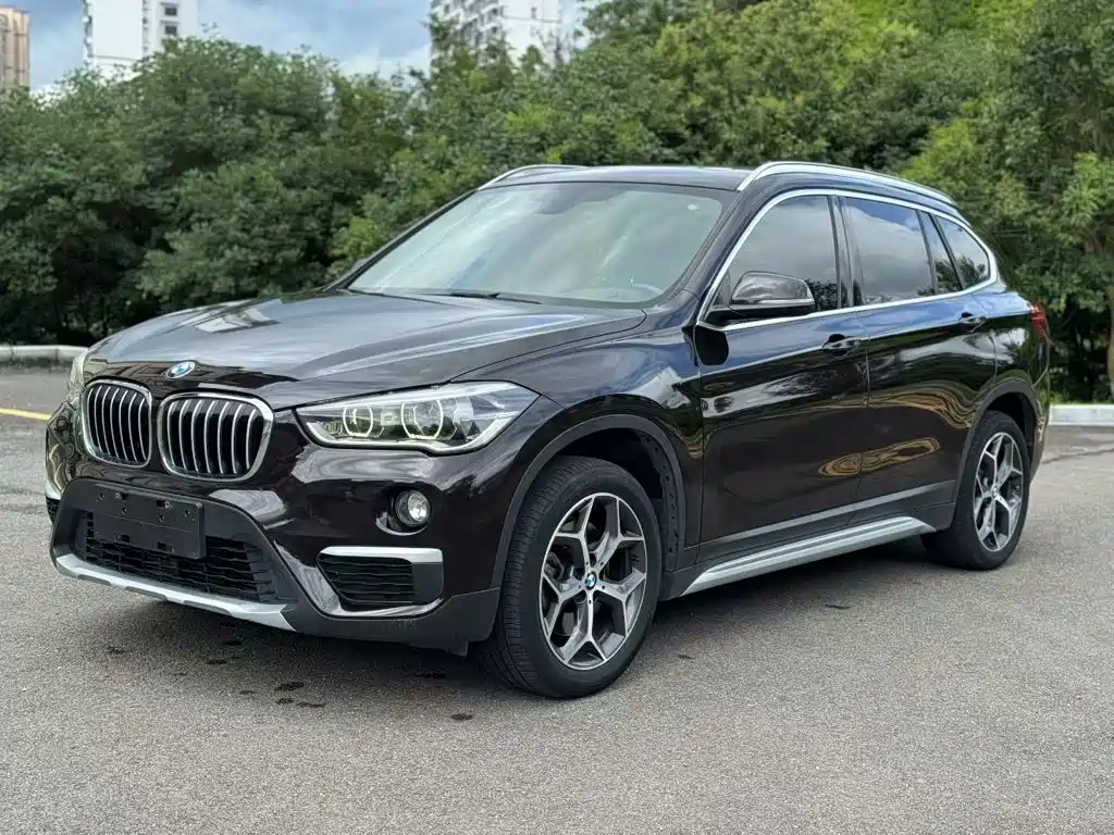 BMW X1 — миниатюра 2