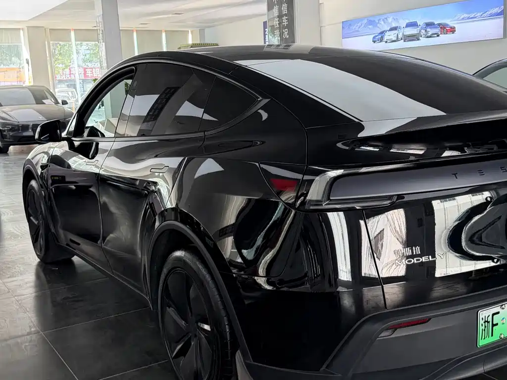 Tesla Model Y — миниатюра 4