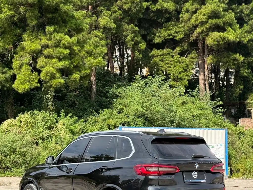 BMW X5 (Import) — миниатюра 7