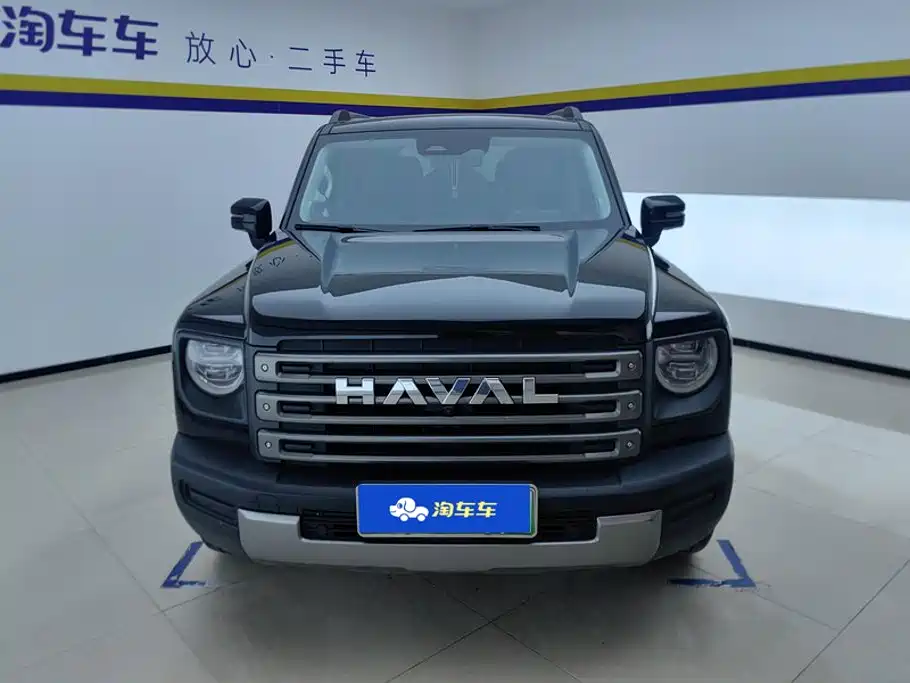 Haval Menglong New Energy — миниатюра 2