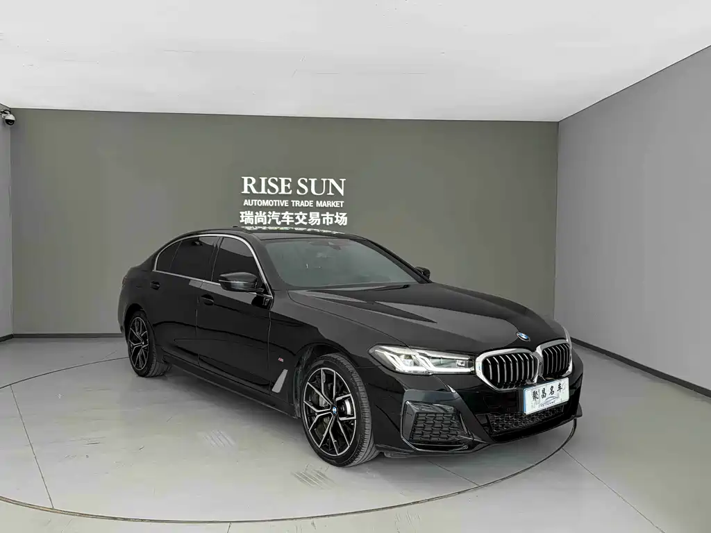 BMW 5 Series — миниатюра 3
