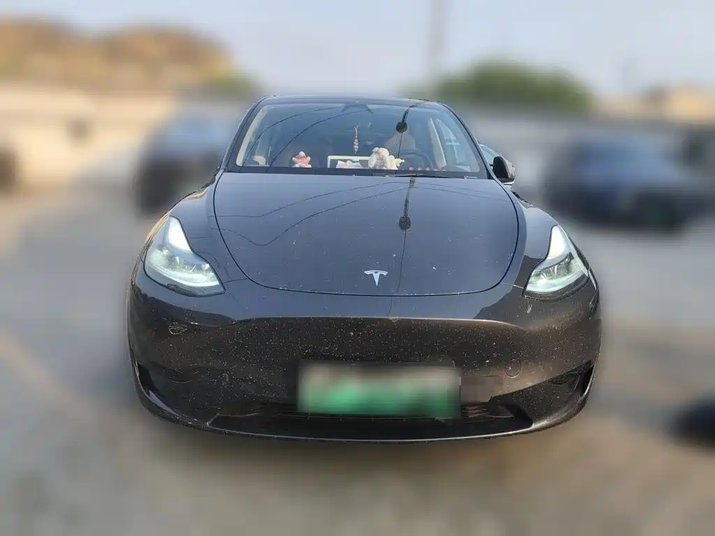 Tesla Model Y — миниатюра 24