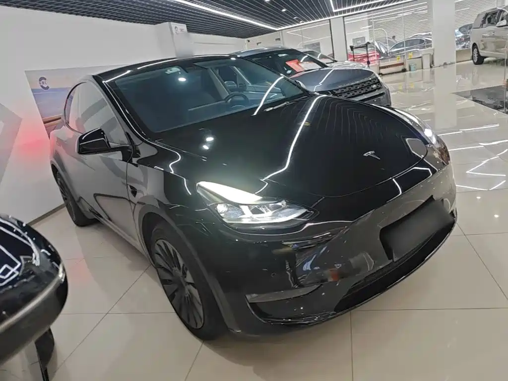 Tesla Model Y — миниатюра 4