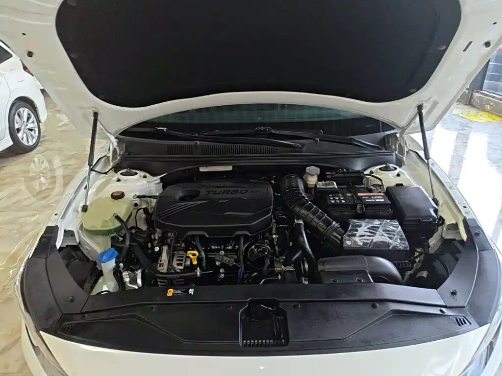 Hyundai Fista — миниатюра 20