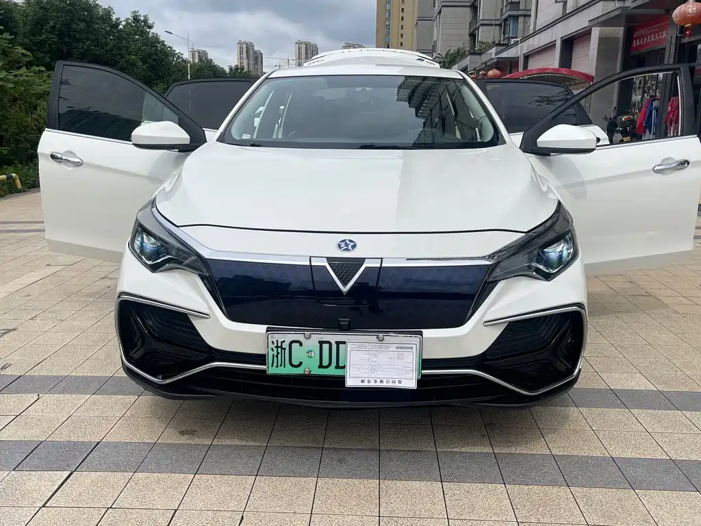 Venucia D60 EV — миниатюра 16