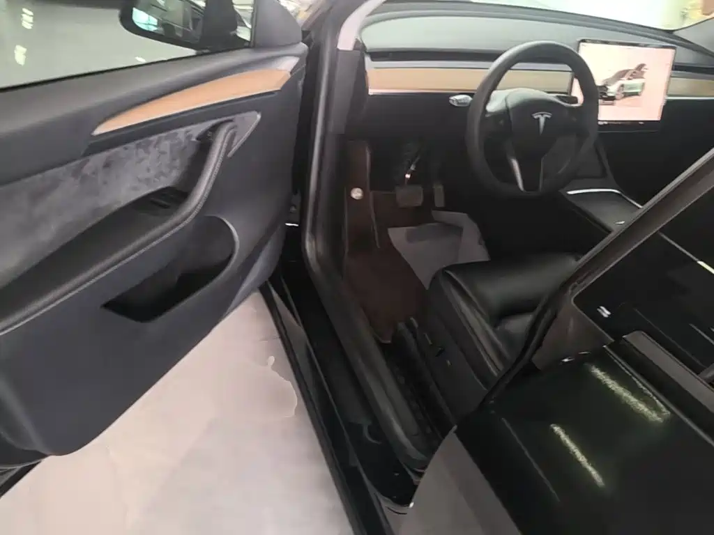 Tesla Model Y — миниатюра 16