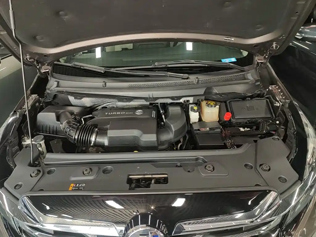 Buick GL8 — миниатюра 20