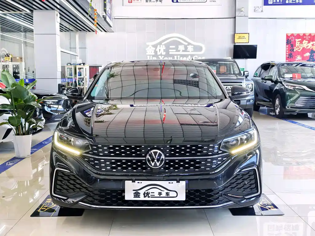 Volkswagen Passat — миниатюра 2