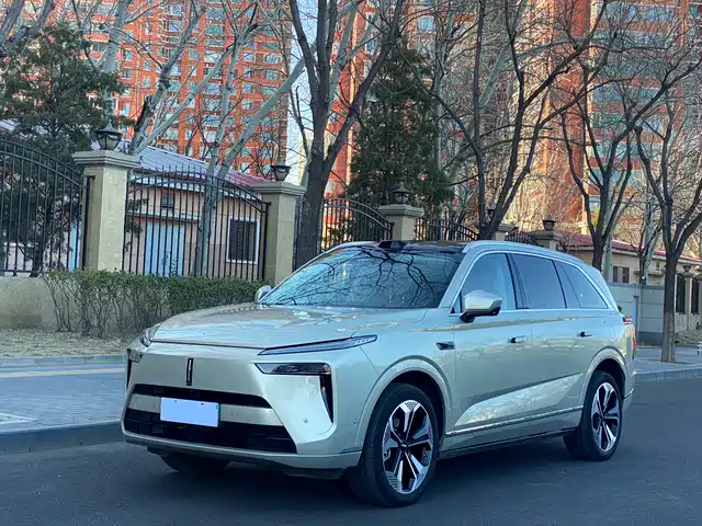 WEI PAI WEI BRAND BLUE MOUNTAIN 2024