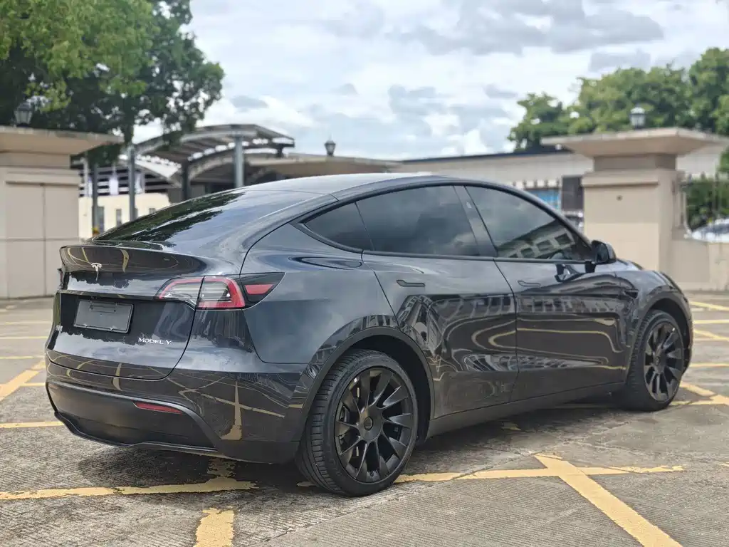 Tesla Model Y — миниатюра 11