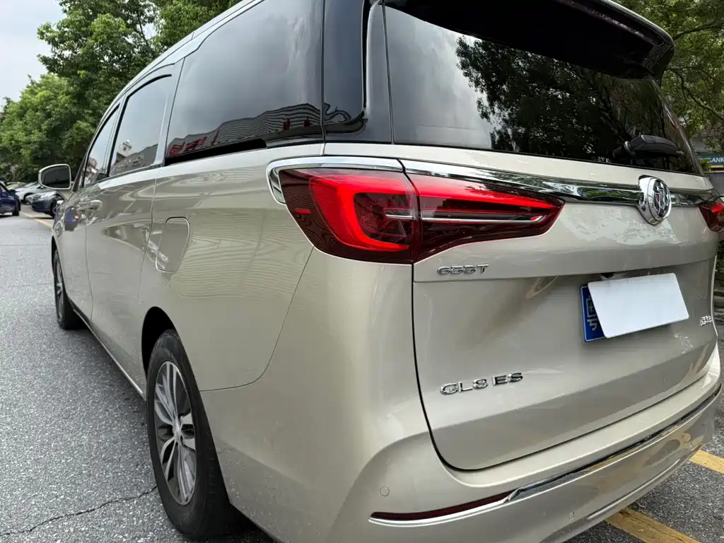 Buick GL8 — миниатюра 27