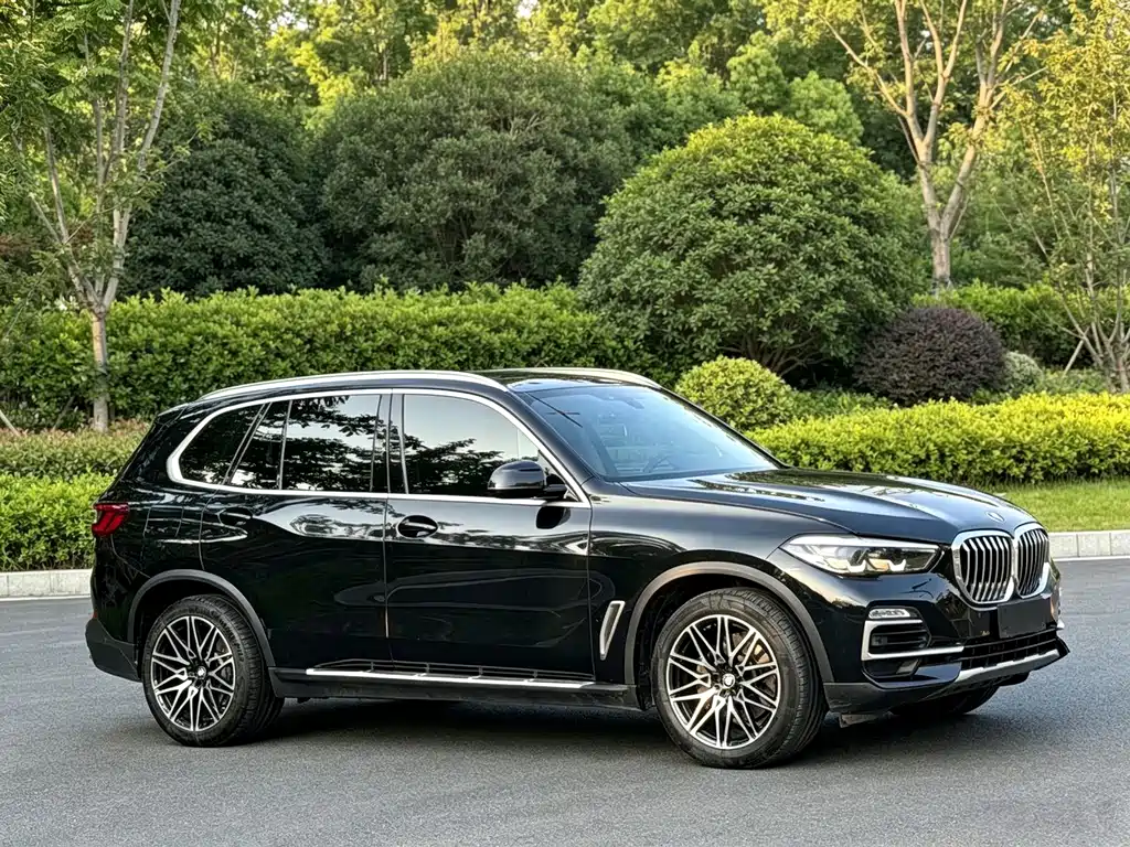 BMW X5 (Import) — миниатюра 3