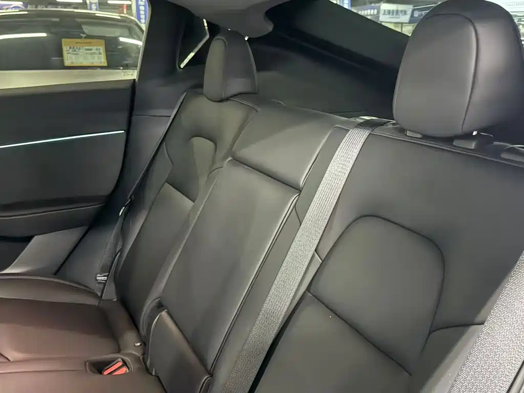 Tesla Model Y — миниатюра 12