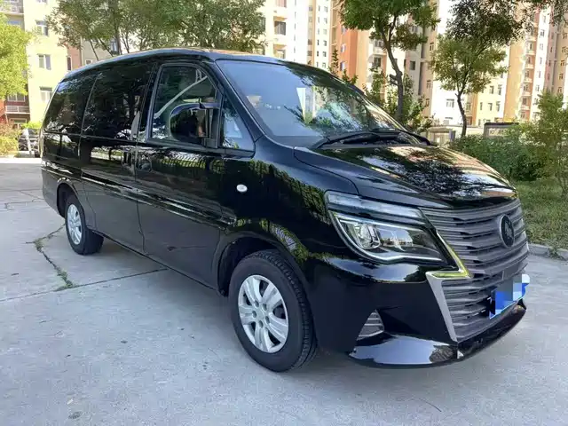 DONGFENG LINGZHI 2022