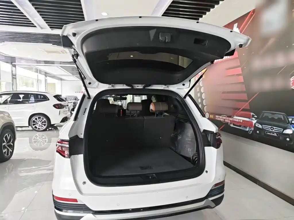 BYD Pro New Energy — миниатюра 19