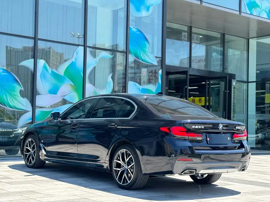 BMW 5 Series — миниатюра 6