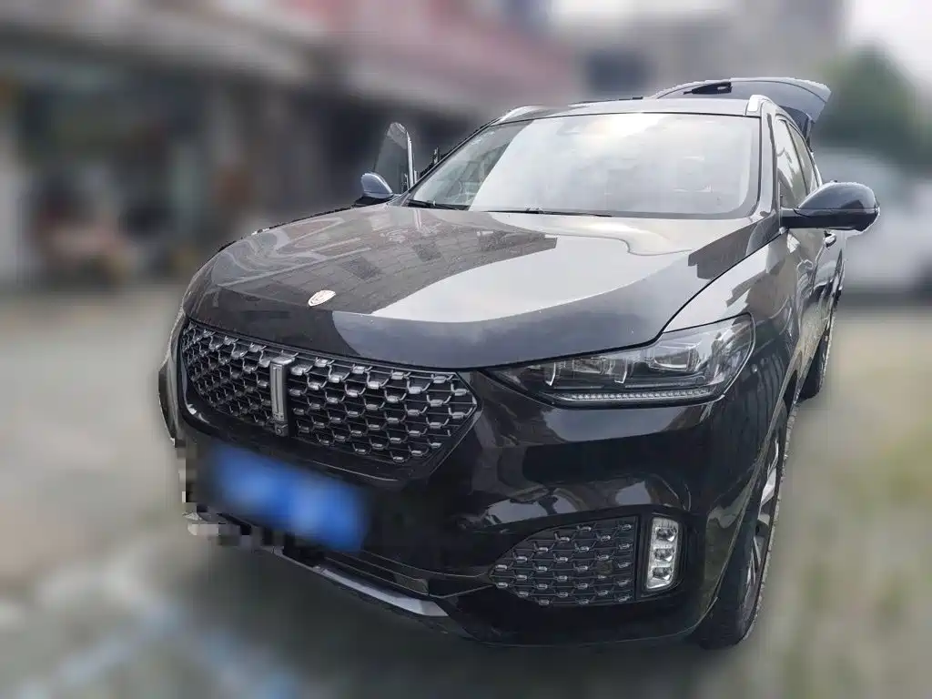 Wey Wey VV6