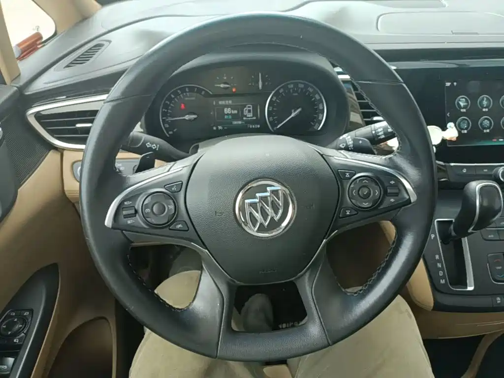 Buick GL8 — миниатюра 11