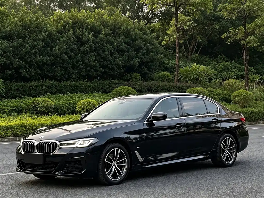 BMW 5 Series — миниатюра 10