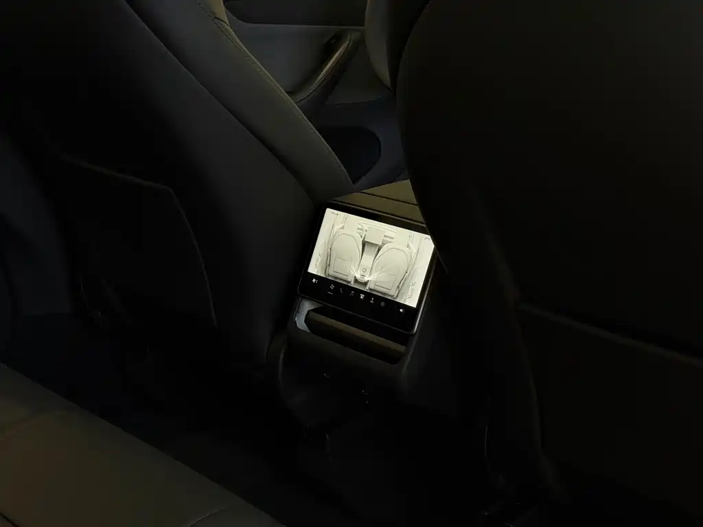 Tesla Model Y — миниатюра 19